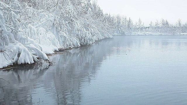 温暖的湖岸和雪白的树枝视频素材