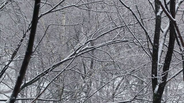 降雪。视频素材