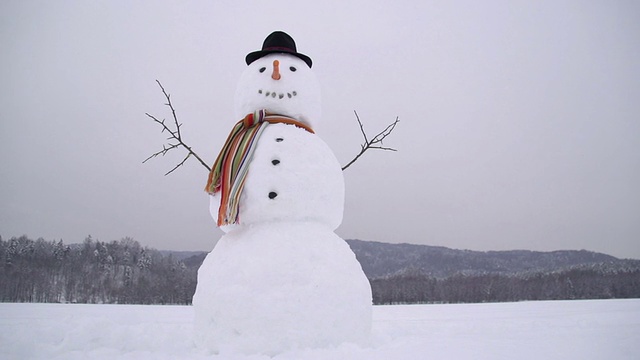 朵莉:冬日仙境里的雪人视频素材