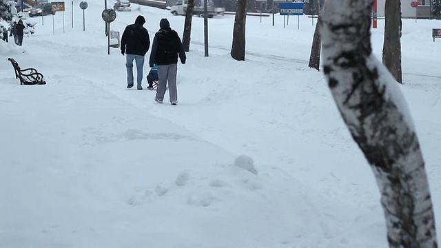 欣赏雪的人们视频素材