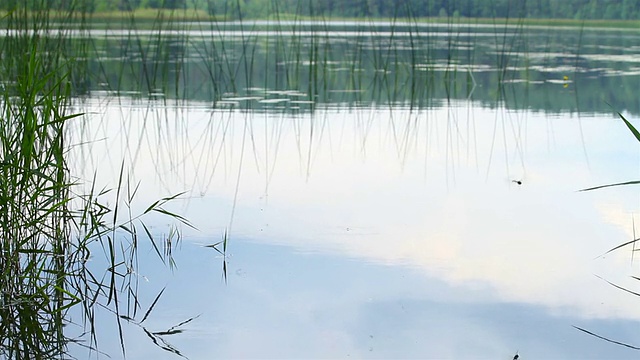 湖面上的雨视频素材