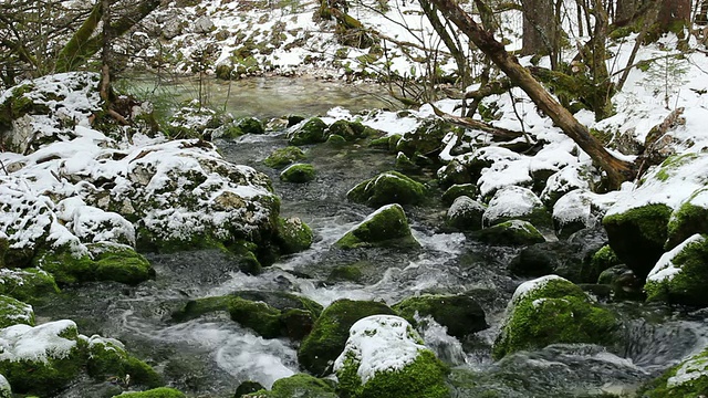 森林溪流与雪视频素材