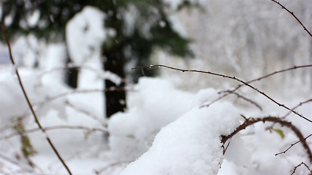 雪花落在木头上，背景模糊视频素材