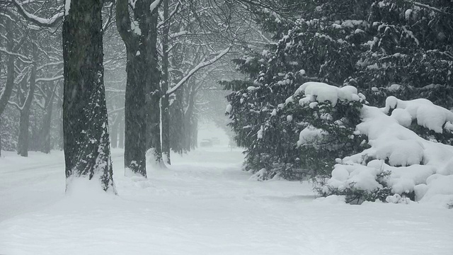 大雪湖效应雪视频素材