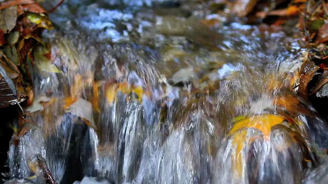 山间小溪在秋天。视频素材