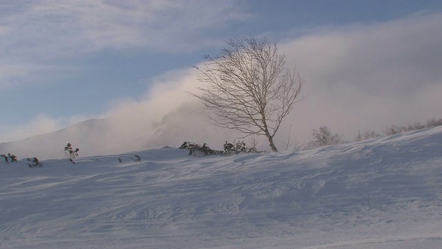 冰冻的雪堆着蓝色的阴影。视频素材