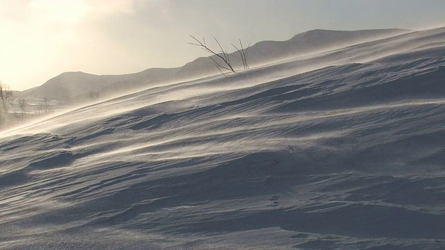 冰冻的雪堆着蓝色的阴影。视频素材