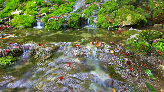 森林溪流-慢镜头视频素材