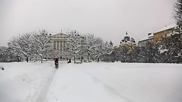 萨格勒布市中心，国王托米斯拉夫广场，大雪视频素材