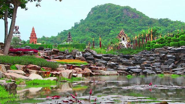 泰国Nong Nooch热带花园的池塘视频素材