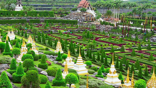 泰国的热带花园Nong Nooch视频素材
