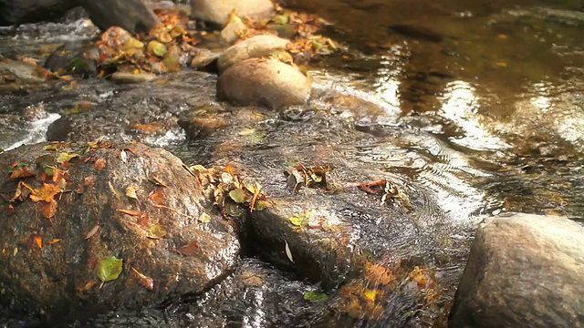 流视频素材