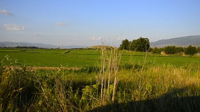 稻田和麦田的景观视频素材