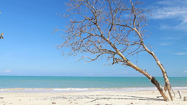 美丽海滩上的波浪视频素材