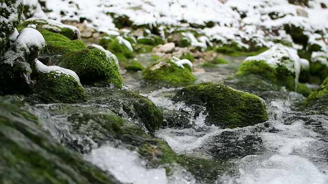 森林溪流与雪视频素材