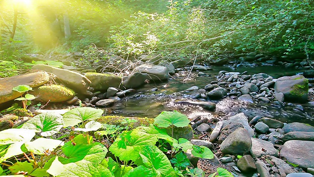 高山流水视频素材