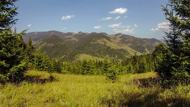 高山、云杉和天空。间隔拍摄视频素材