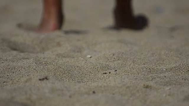 赤脚在海滩上散步视频素材