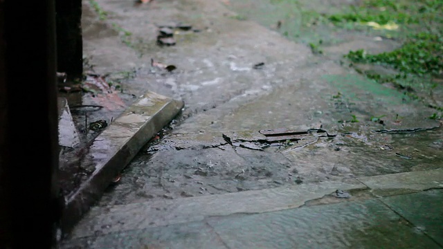 热带雨视频素材