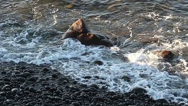 阳光下的海浪视频素材