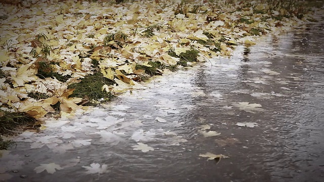 秋天的景象:一个人独自走在水坑边视频素材