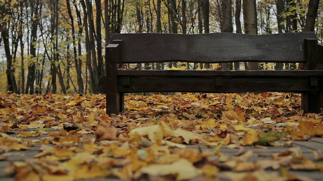 长椅上,秋天。多莉拍摄视频素材