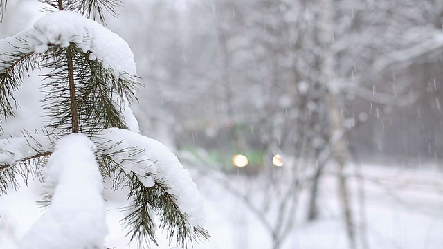 雪暴风雪视频素材