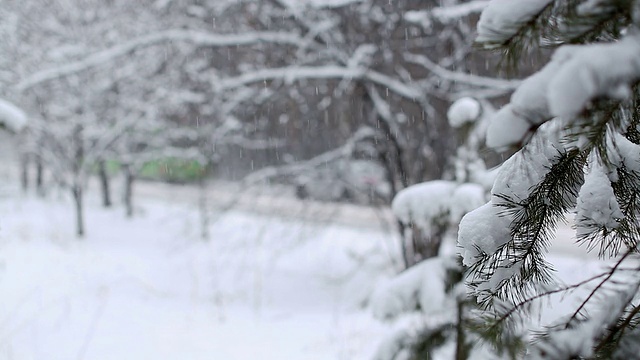 雪暴风雪视频素材