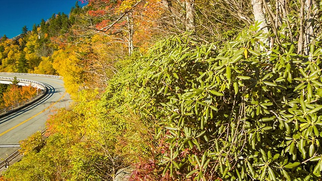 蓝岭公园路上林湾高架桥的风景视频素材