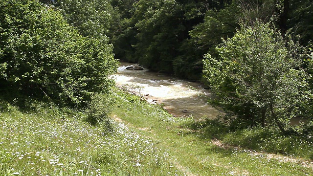 那山在岩石间流淌视频素材