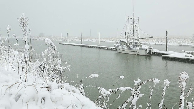 苏格兰池塘雪，史蒂夫斯顿视频素材