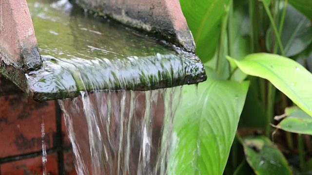 花园里的水装饰视频素材