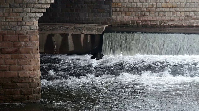 河上城市大桥视频素材