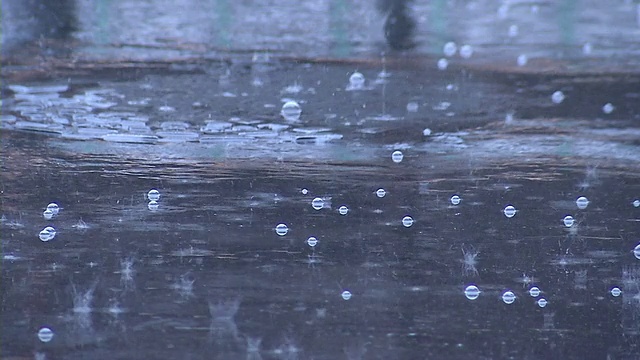 雨视频下载