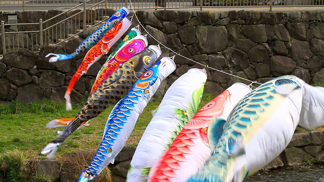 鲤鱼风筝(koinobori)。视频素材