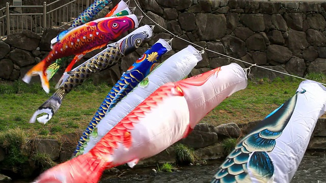 鲤鱼风筝(koinobori)。视频素材