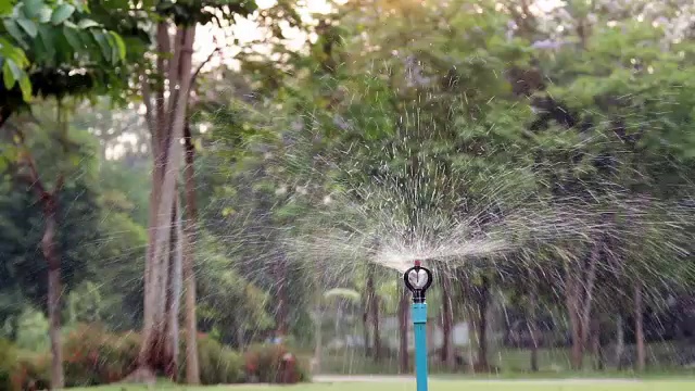 浇水的花园视频素材