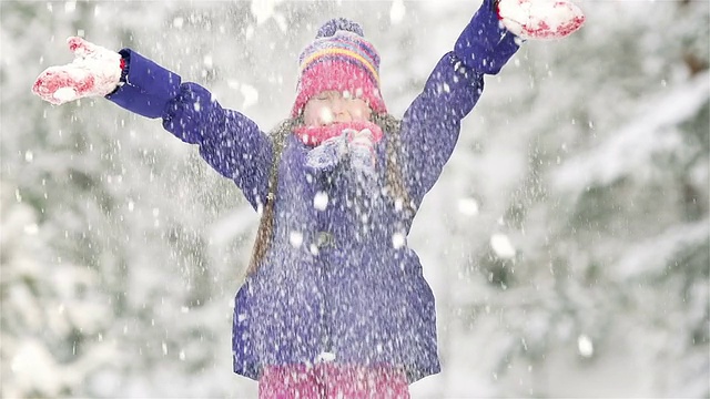 一些雪视频素材