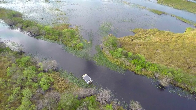 大沼泽地里的汽艇视频素材