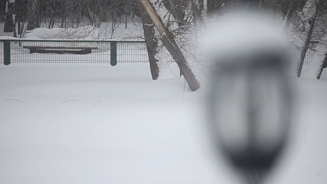 白雪皑皑的灯笼视频素材