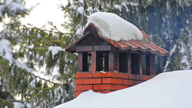 烟囱烟雾细节在积雪覆盖的松树股票视频视频素材