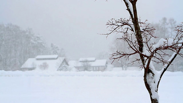 冬天的雪景。视频素材