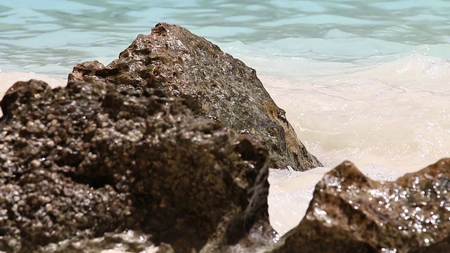 波浪视频下载