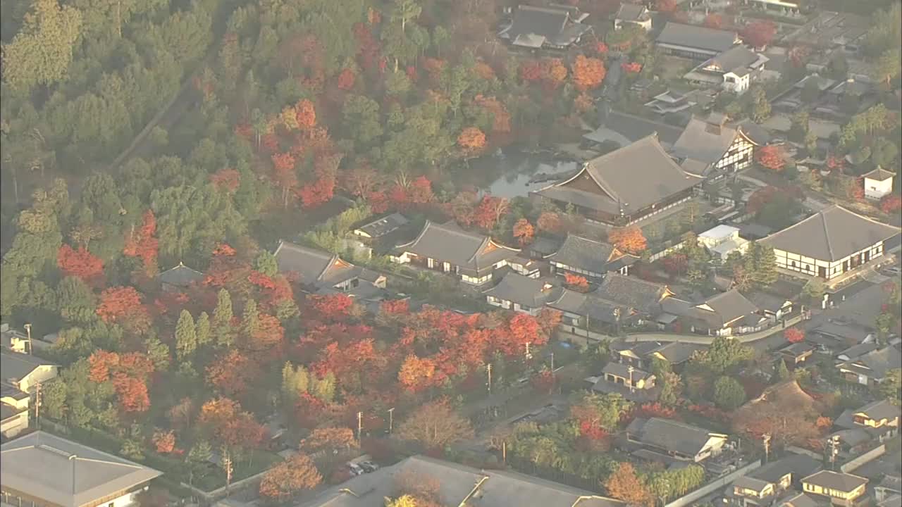 秋天的日本京都岚山视频素材