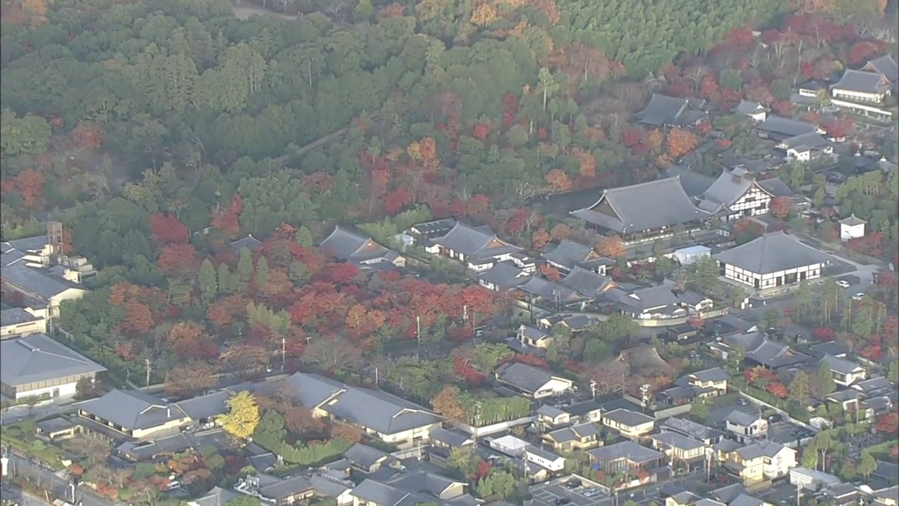 秋天的日本京都岚山视频素材