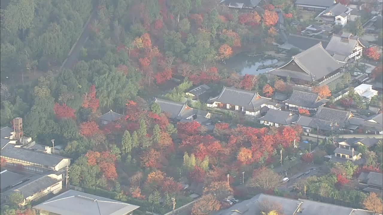 秋天的日本京都岚山视频素材