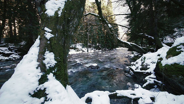 雪林中的山河视频素材