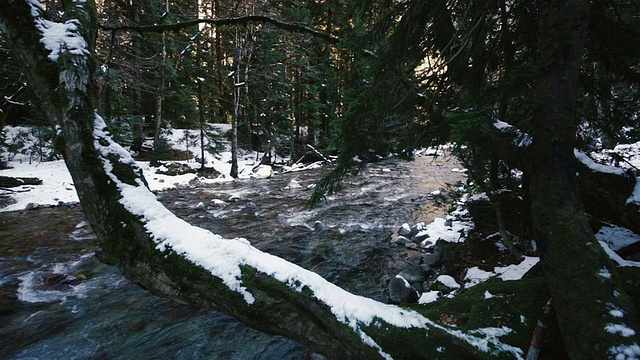 雪林中的山河视频素材