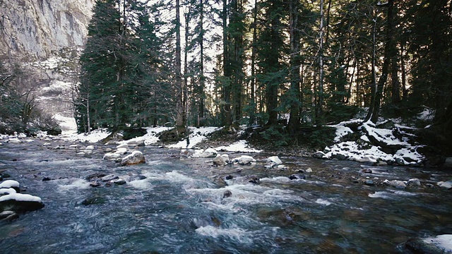 雪林中的山河视频素材