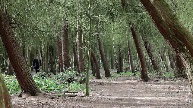 美丽的森林场景-狗和宠物的主人散步路径在背景通过树木视频素材